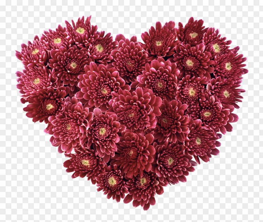 Hyacinth Flower Love High-definition Television Heart Display Resolution PNG