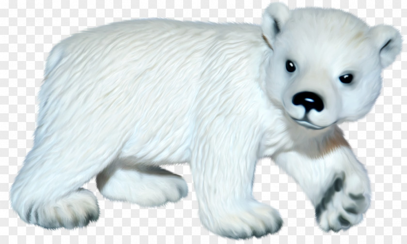 White Polar Bear International Day Arctic Fox PNG