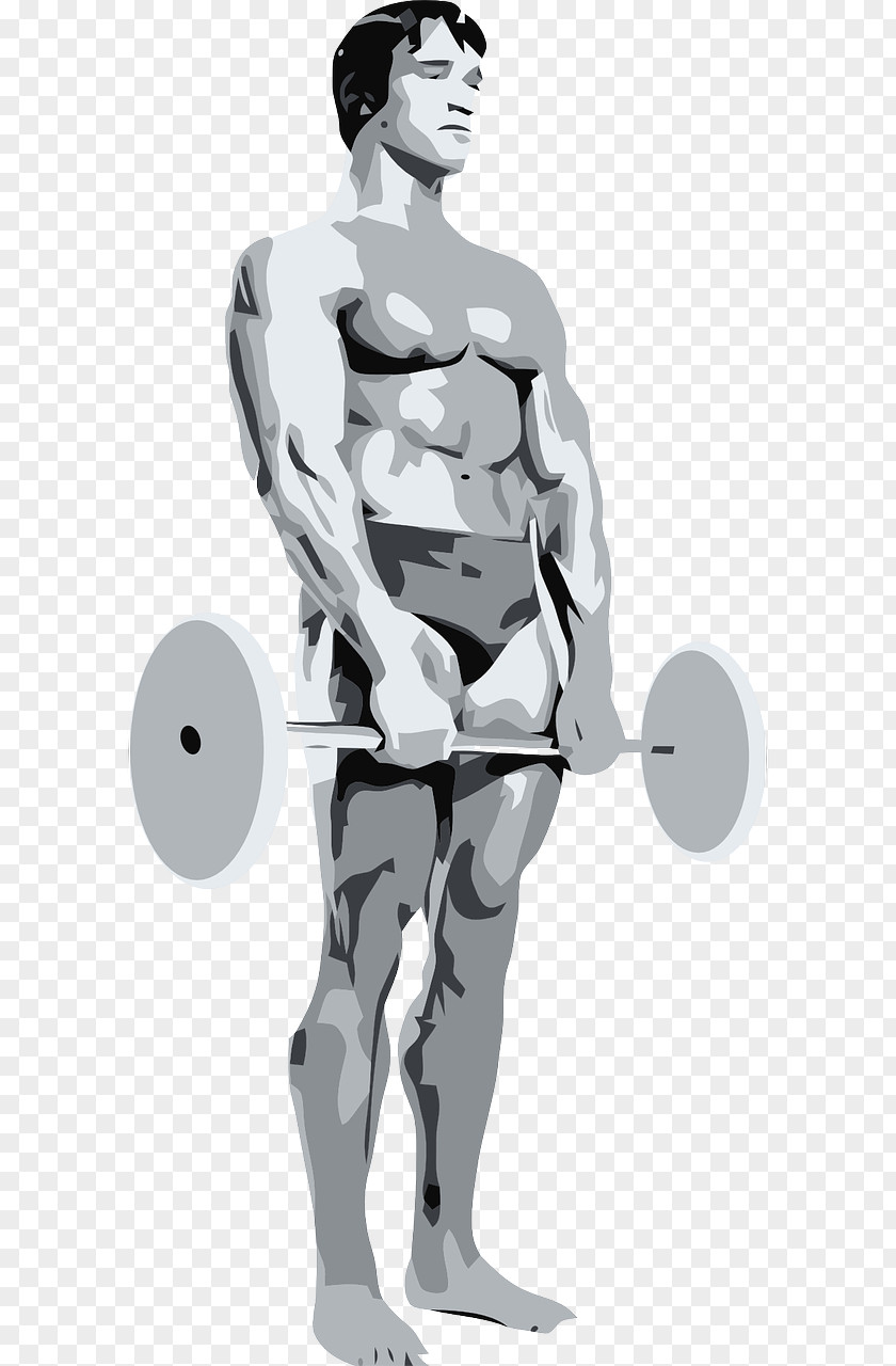 Arnold Schwarzenegger Female Bodybuilding PNG