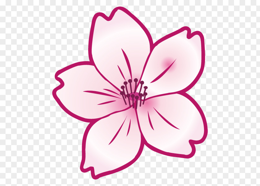 Clip Art Illustration Flower Vector Graphics Drawing PNG