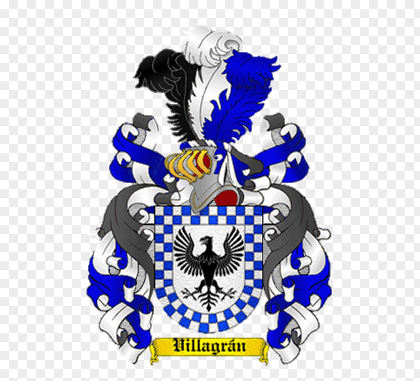 Family Heraldry Escutcheon Genealogy Surname PNG