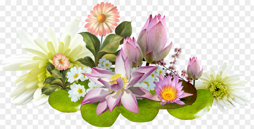 Hand-painted Lotus HD Fleurs Tropicales Flower PNG