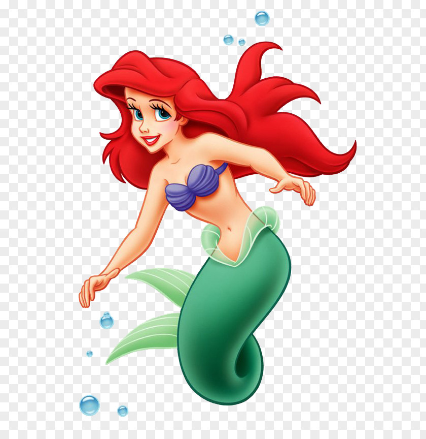 Miss Mermaid Ariel The Little Cartoon PNG