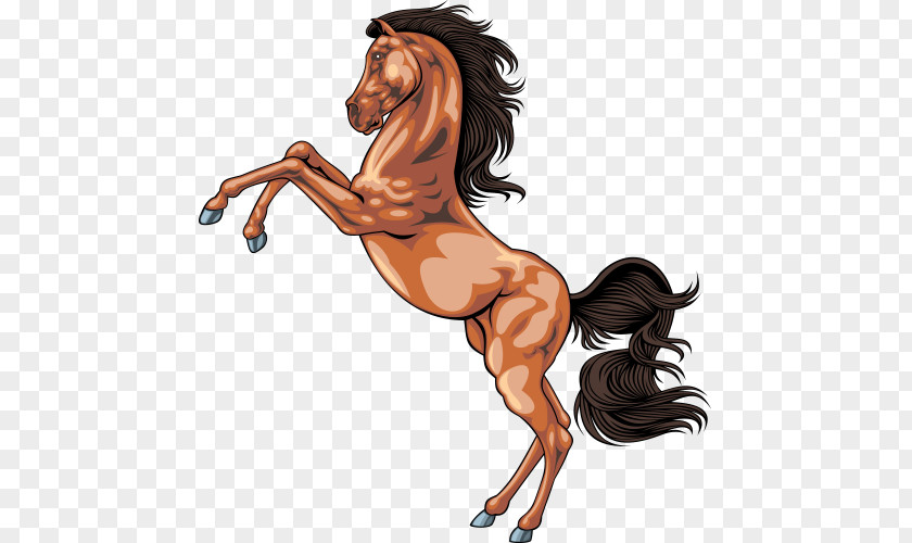Pentium Horse Jumping Icelandic Equestrianism Facts Clip Art PNG