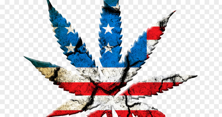 Cannabis Legalization United States Of America Legality Medical PNG
