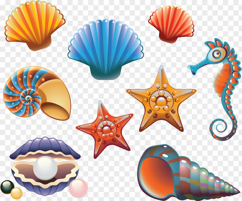 Crab Seashell Royalty-free Clip Art PNG