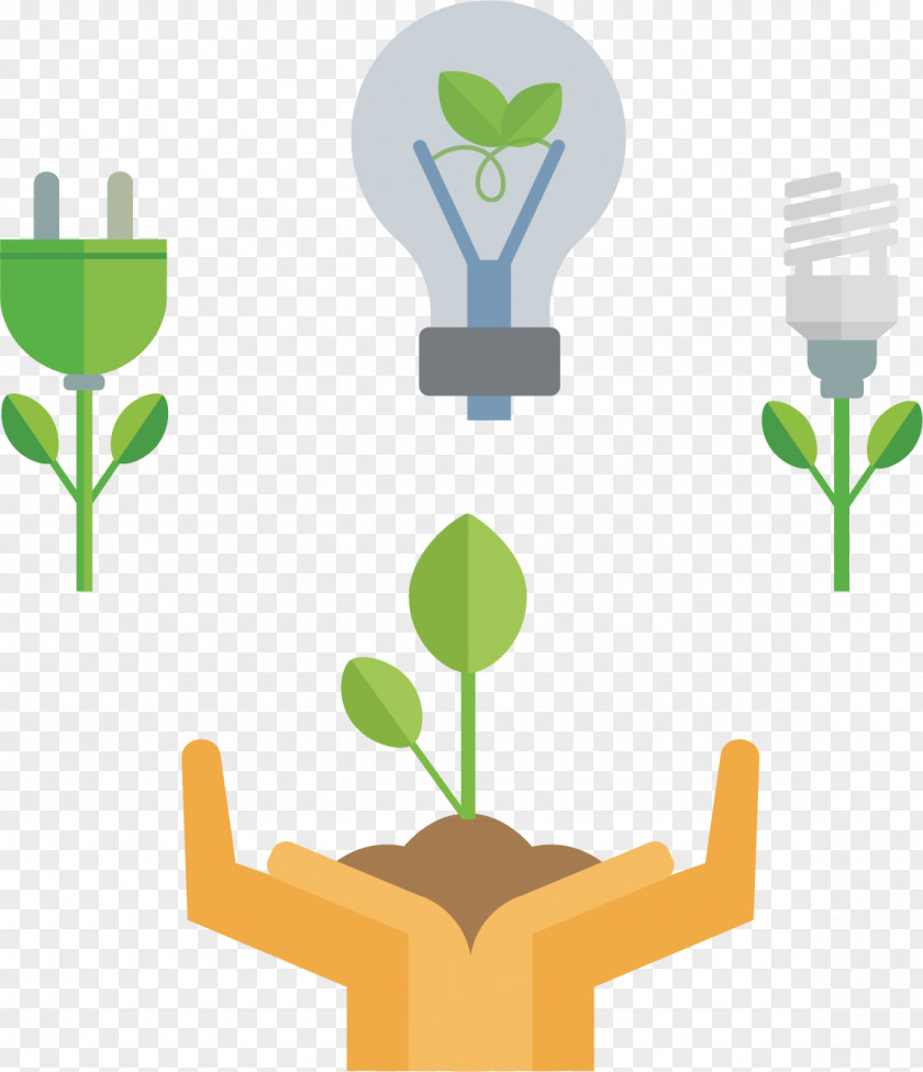 Energy Saving Trees Classification And Labelling Green Icon PNG