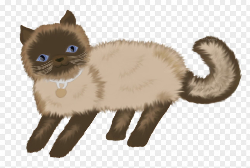 Kitten Whiskers Himalayan Cat Domestic Short-haired Fur PNG