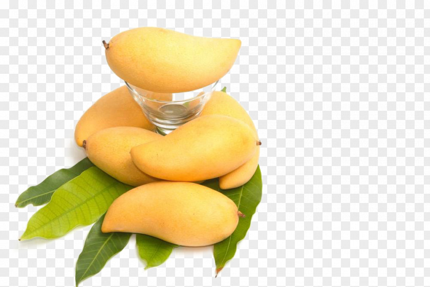 Mango Stock Photography Fruit Vegetable PNG