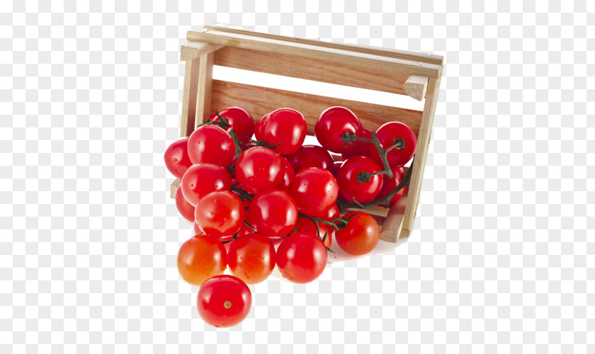 Red Tomatoes Cranberry Cherry Tomato Vegetable Fruit PNG
