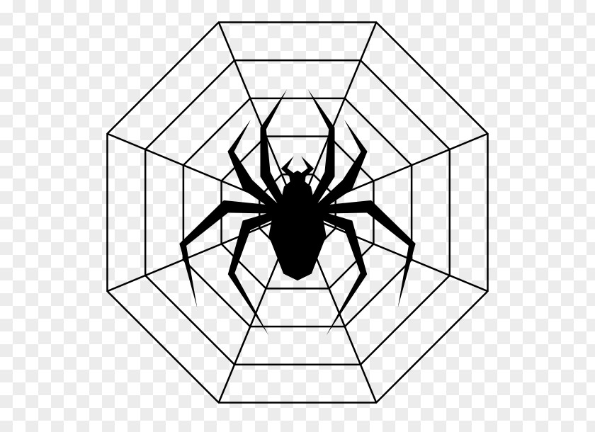 Spider Drawing Line Art Coloring Book Ausmalbild PNG