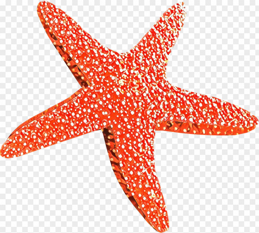 Star Orange Stars Background PNG