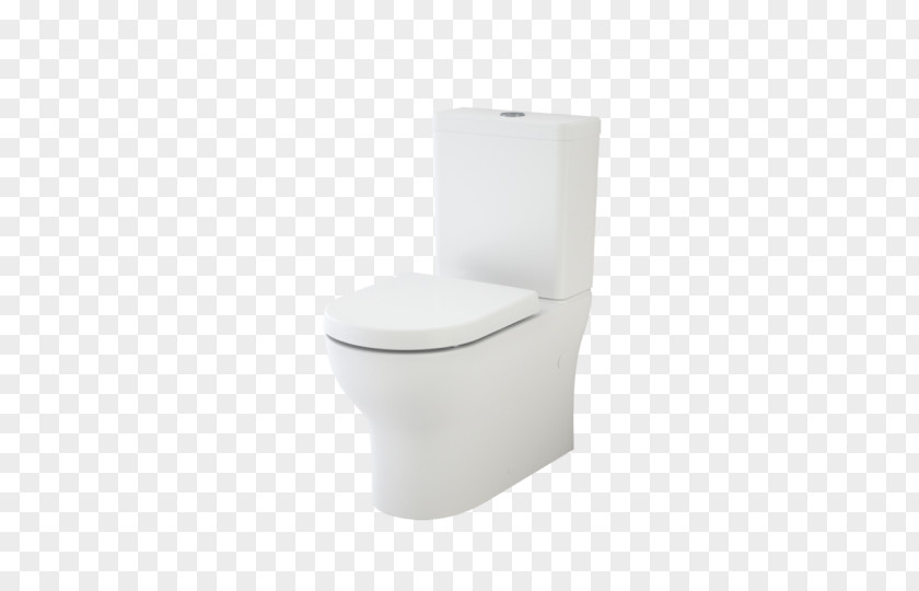 Toilet Roca & Bidet Seats Bathroom Cistern PNG