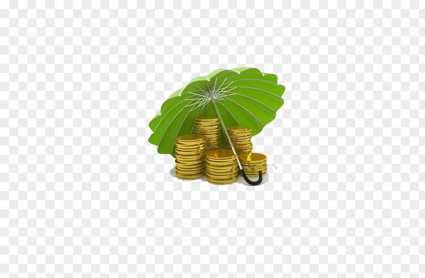 Umbrella Gold Finance Asset Money Service PNG
