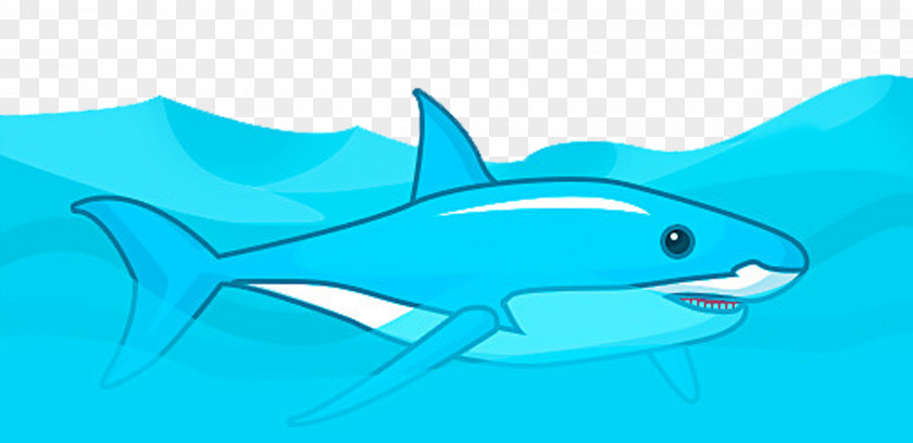 Blue Shark Tiger Squaliformes Clip Art PNG