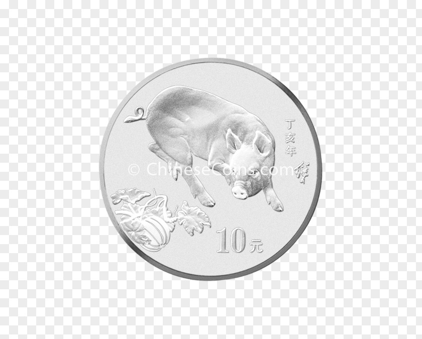 Coin Silver Circle Animal PNG
