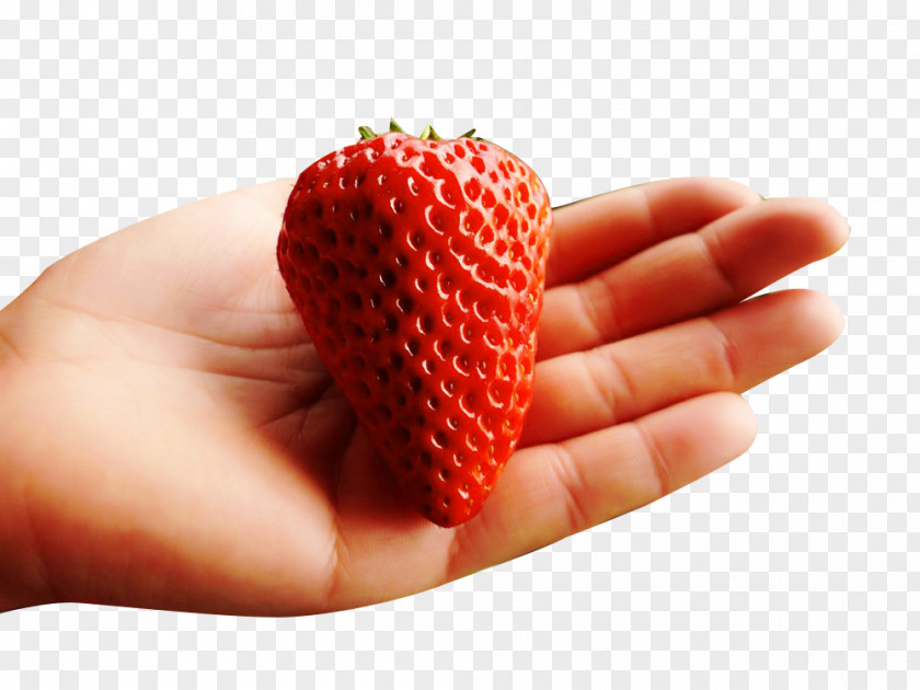 Hand Picking Strawberry Picture Material Aedmaasikas Food PNG