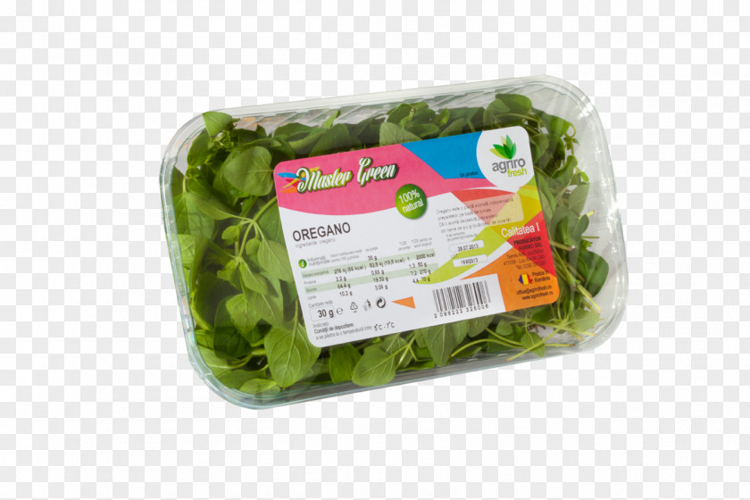 Salate Leaf Vegetable PNG