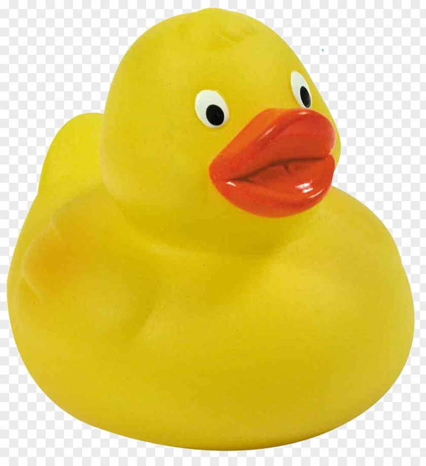 Small Yellow Duck Rubber Little Project Bathtub Toy PNG