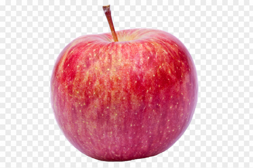 Apple McIntosh Red Fuji Ralls Janet Idared PNG