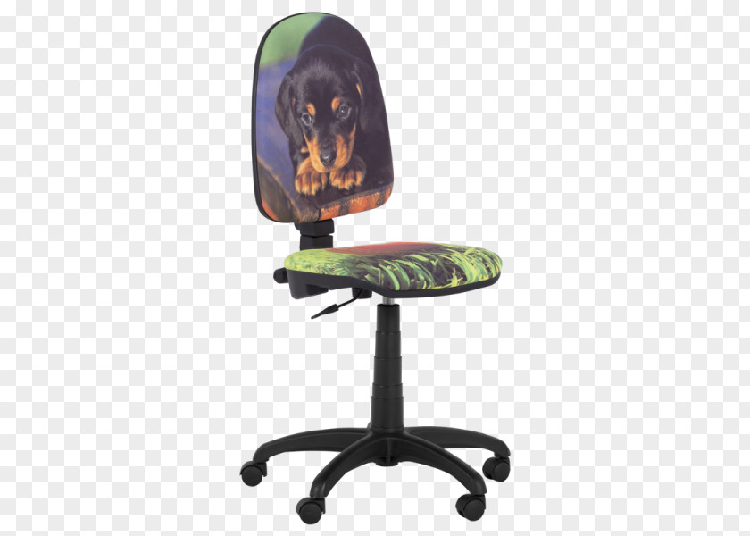 Chair Office & Desk Chairs Table PNG