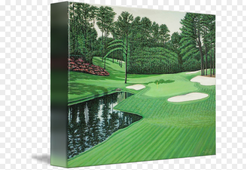 Golf Artificial Turf Course Landscape Water PNG