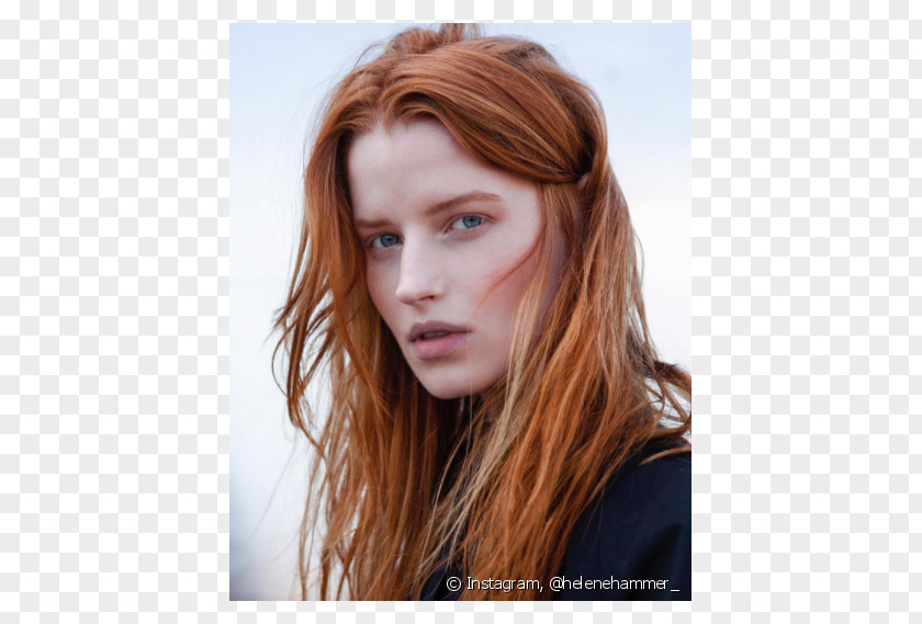 Hair Brown Red Blond Coloring Chestnut PNG