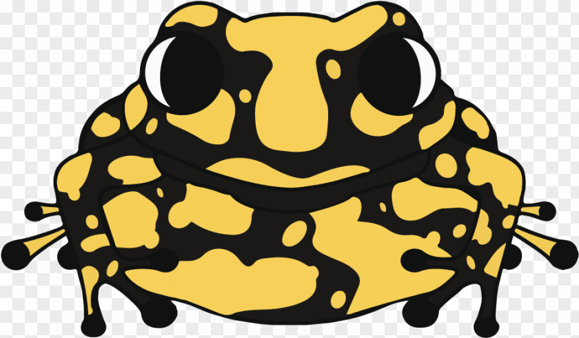 Hyla Anaxyrus Frog Cartoon PNG