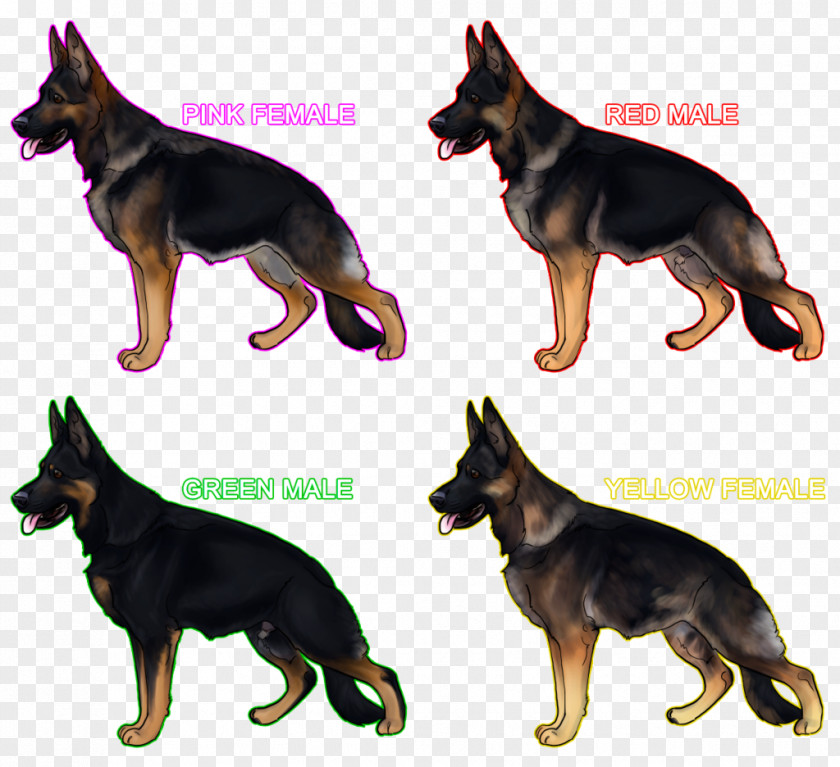 Puppy Old German Shepherd Dog King Kunming Wolfdog East-European Australian Kelpie PNG