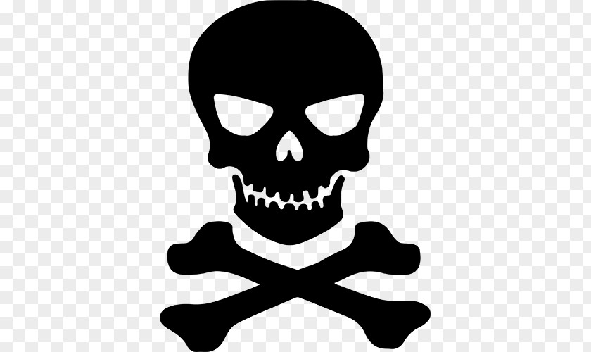 Skull And Bones Crossbones Human Symbolism PNG