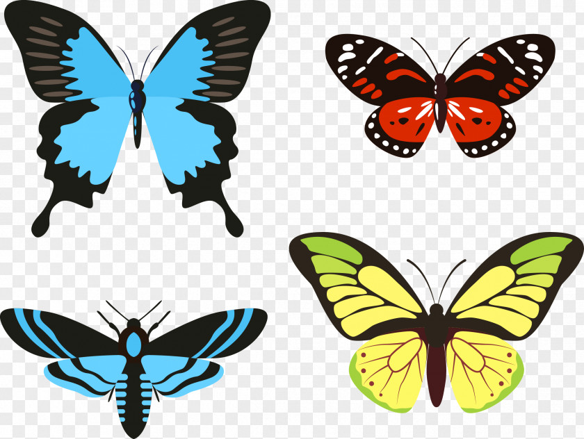 Vector Hand Painted Butterfly Cockroach Insect Illustration PNG