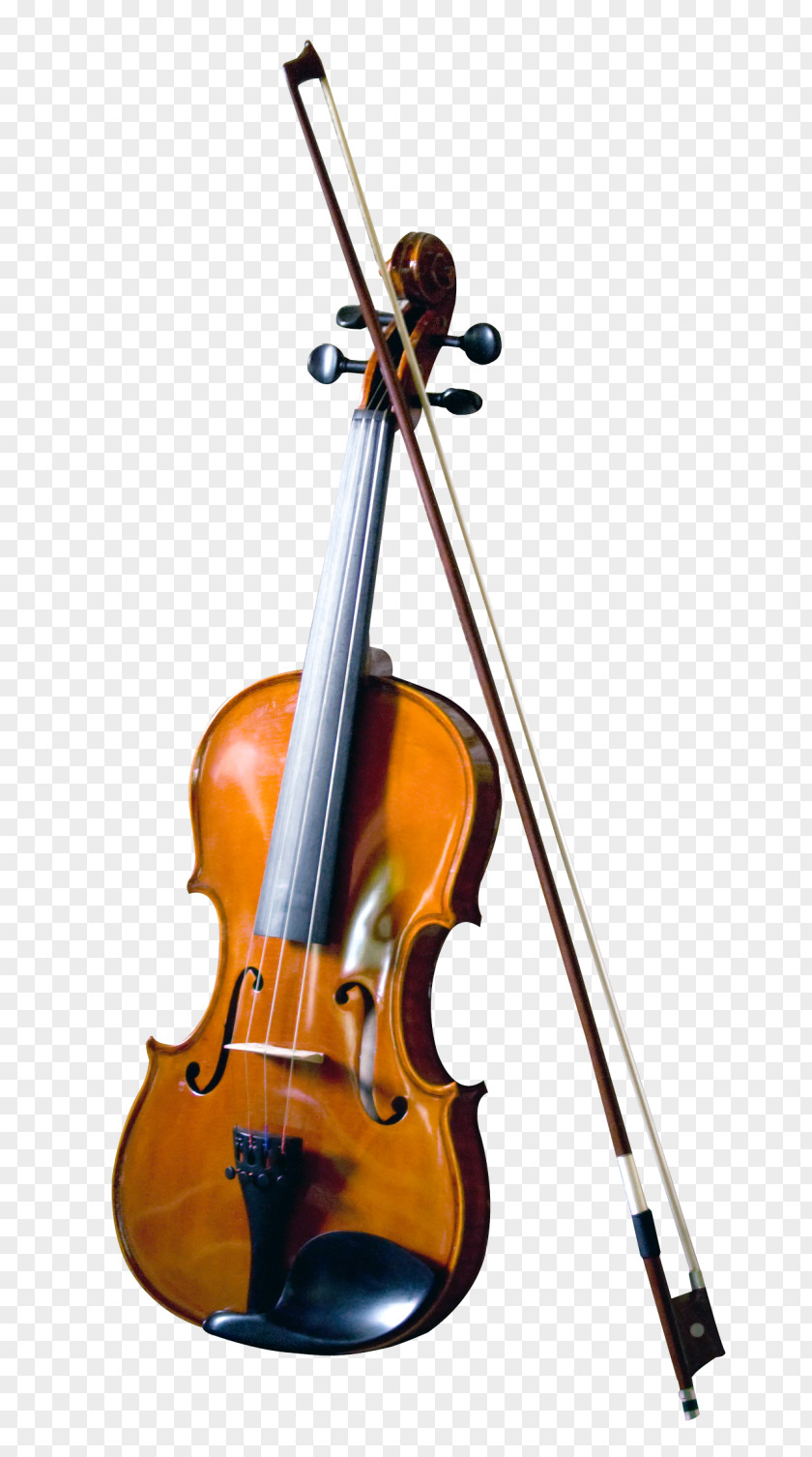 Violin Musical Instruments Double Bass PNG