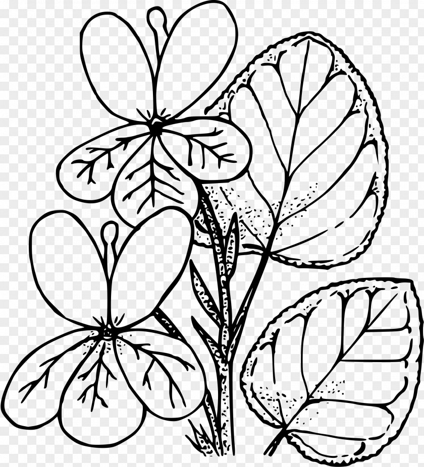 Wild Flower Violet Drawing Coloring Book Clip Art PNG