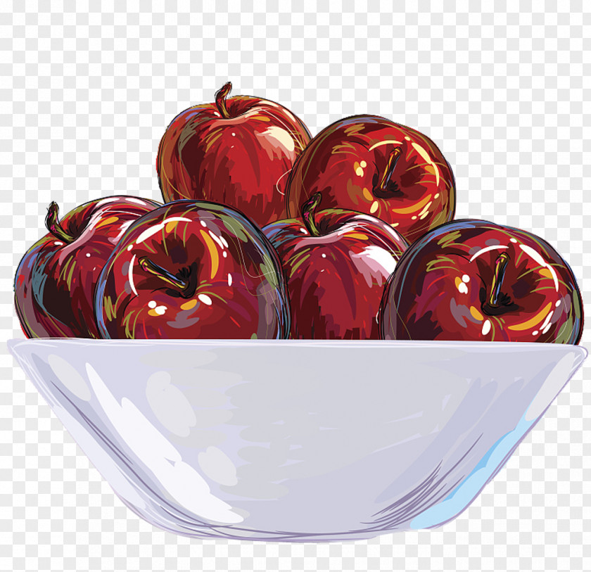 An Apple Fruit Bowl Illustration PNG