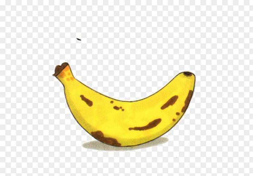Banana Drawing Fruit Food PNG