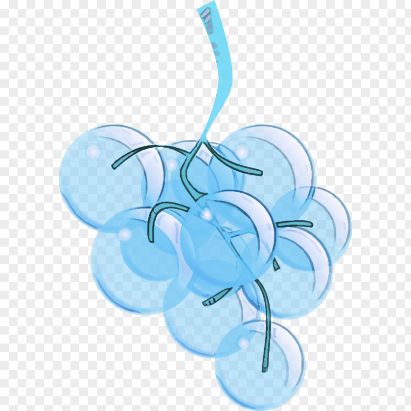 Blue Aqua Turquoise Plant PNG