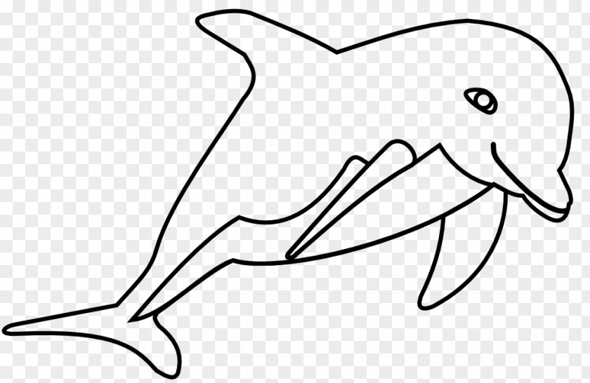 Dolphin Delphinus Desktop Wallpaper Clip Art PNG