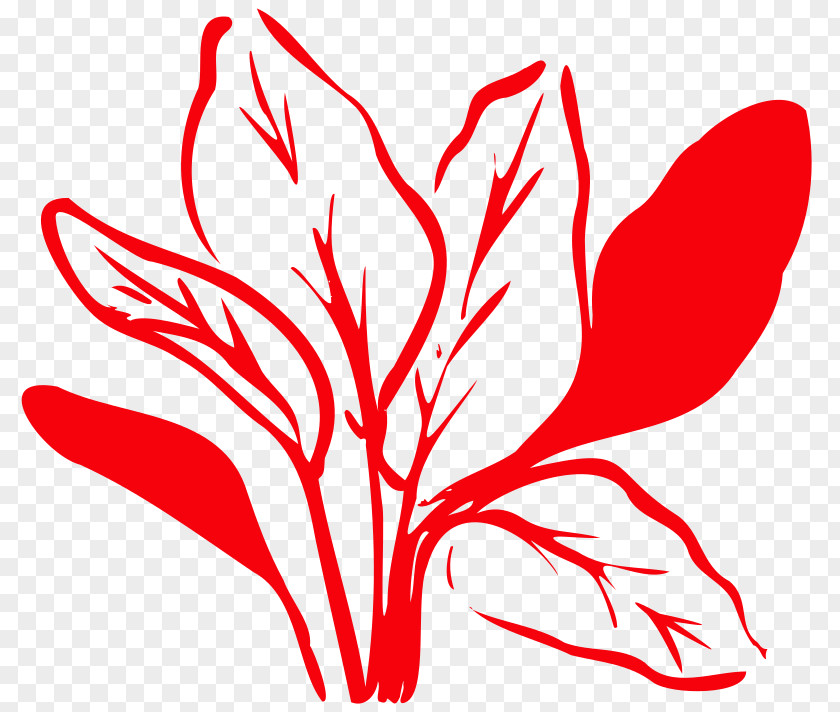 Flower Meter Plant Stem Line Art Leaf PNG