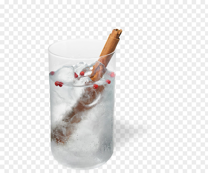 Gin And Tonic Non-alcoholic Drink Distilled Beverage Cocktail Water PNG