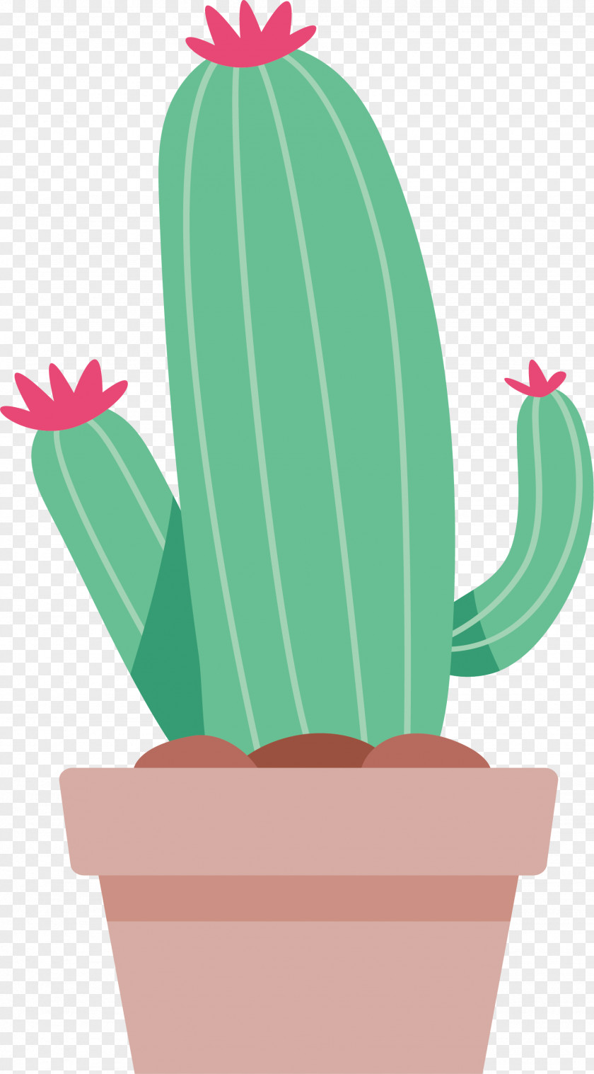 Lovely Striped Cactus Cactaceae Euclidean Vector Clip Art PNG