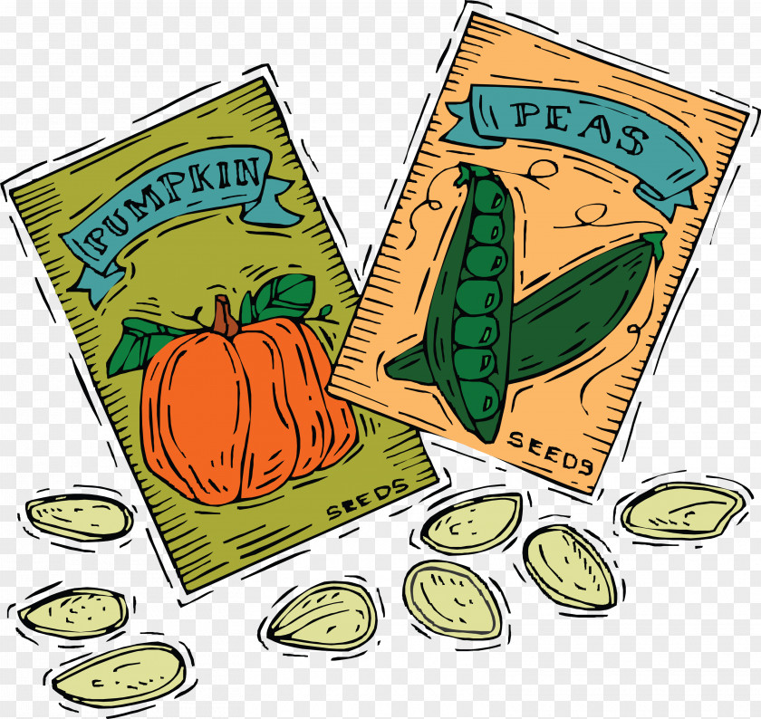 Seeds Seed Packet Clip Art PNG