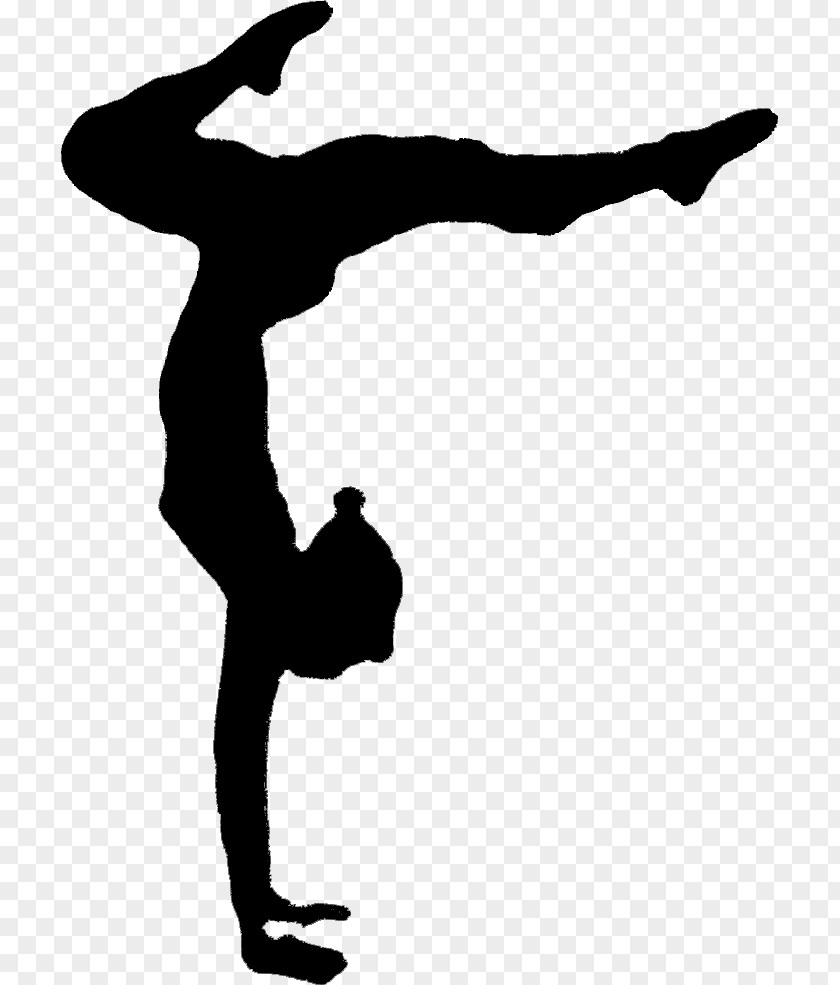 Silhouette Adobe Acrobat Acrobatics Circus Somersault PNG