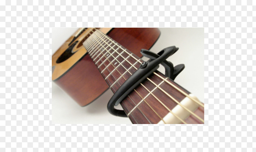 Bass Guitar Capo Acoustic Acoustic-electric Tiple PNG