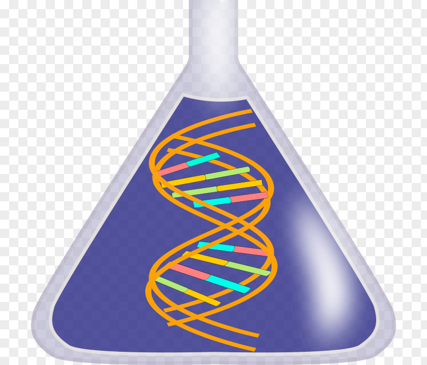 Double Clip Art DNA Nucleic Acid Helix Free Content Transparency PNG