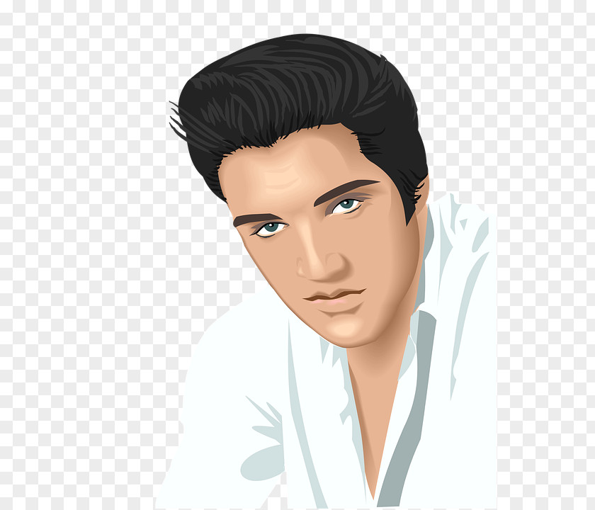 Elvis Presley Singer Celebrity PNG Celebrity, ELVIS clipart PNG