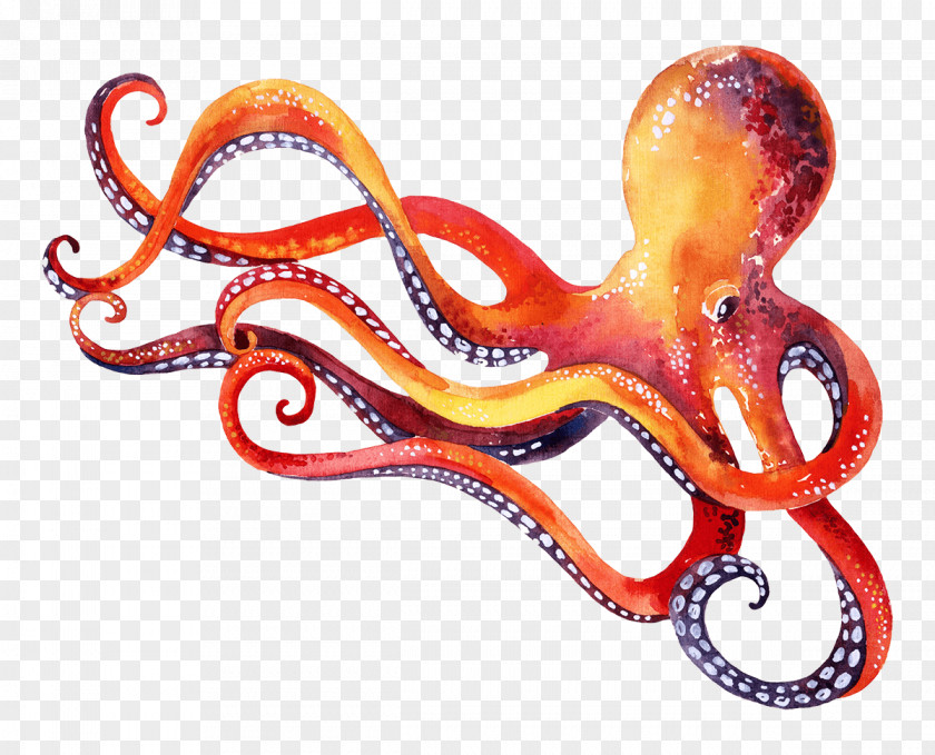 Octopus Marine Invertebrates Cephalopod Animal PNG