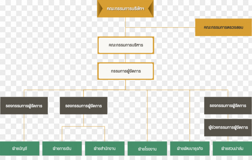 Organisation Charts Organizational Chart Limited Company Vichitbhan Palmoil PNG