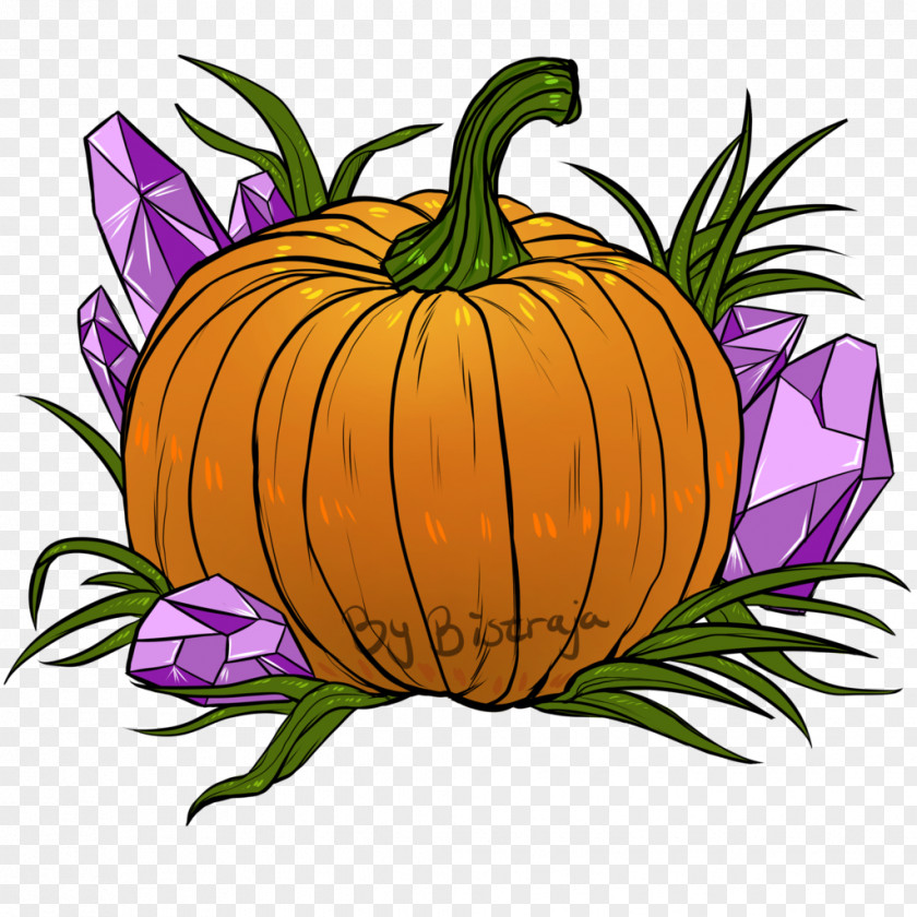Pumpkin Jack-o'-lantern Calabaza Winter Squash Clip Art PNG