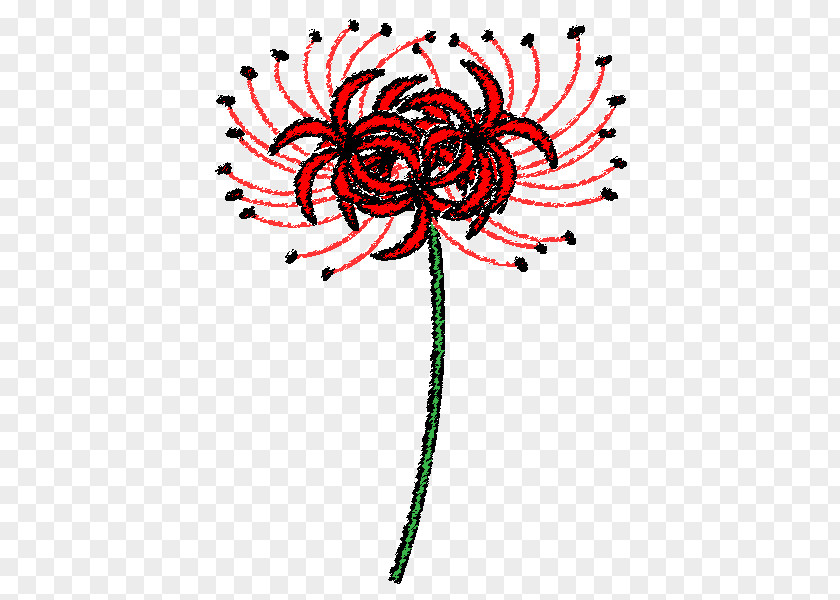 Design Floral Red Spider Lily Visual Arts PNG