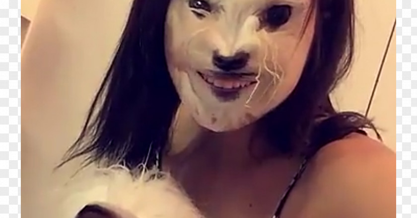 Dog Pet Snapchat Blond PNG